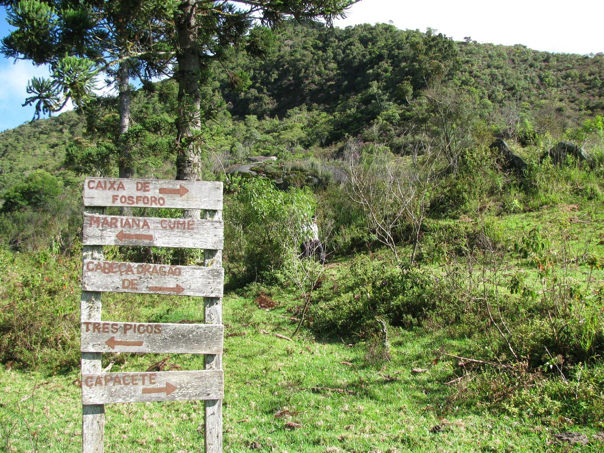 Nova trilha no Parque Estadual dos Três Picos