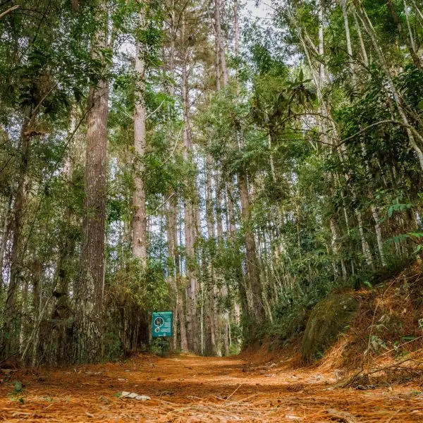 trilha